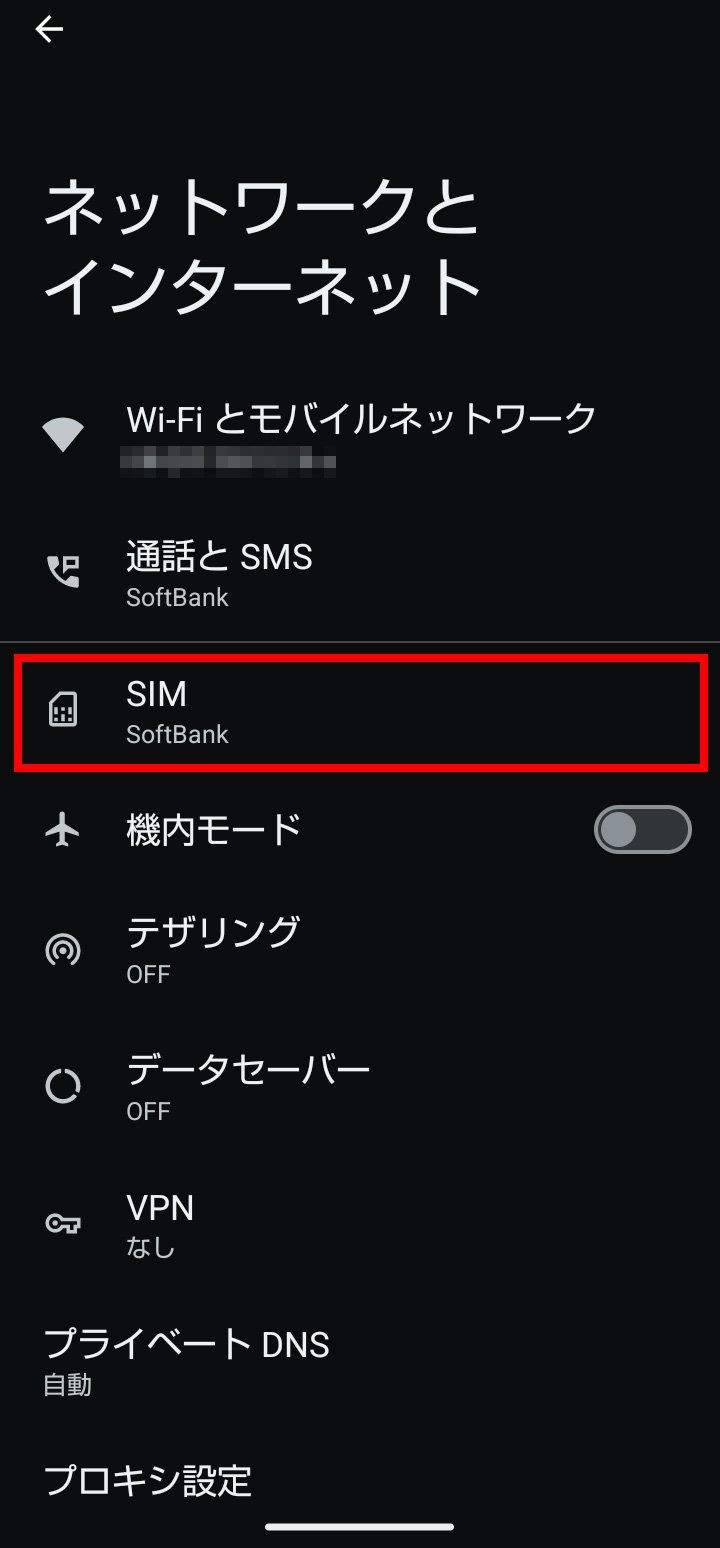 説明図：SIM