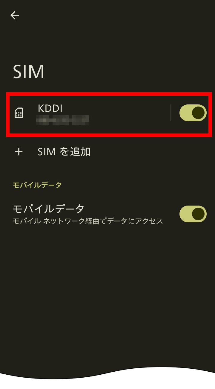 説明図：SIM画面の「キャリア名」選択位置