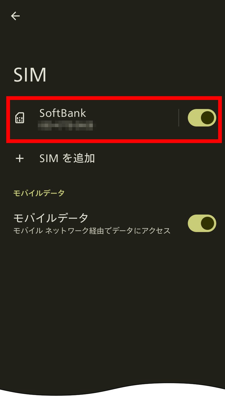 説明図：SIM画面の「キャリア名」選択位置