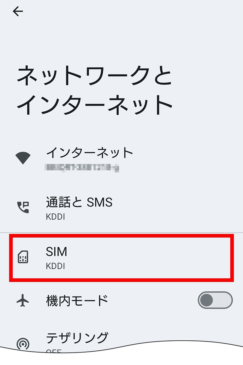 説明図：SIM