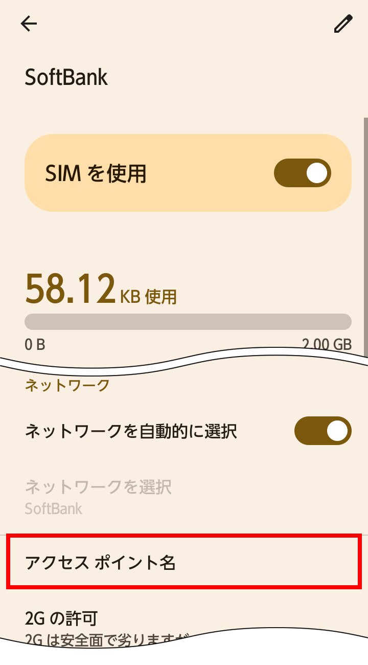 説明図：アクセスポイント名